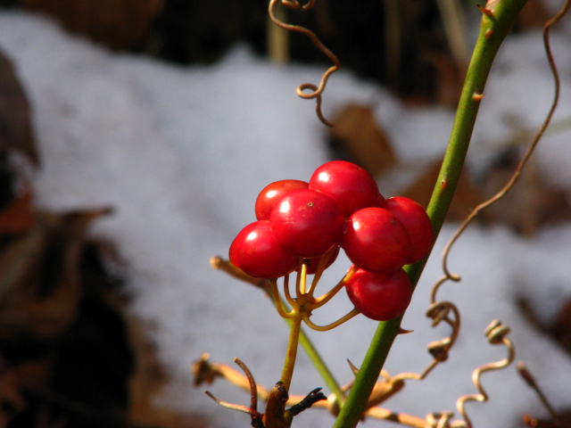 d0024426_8244064.jpg