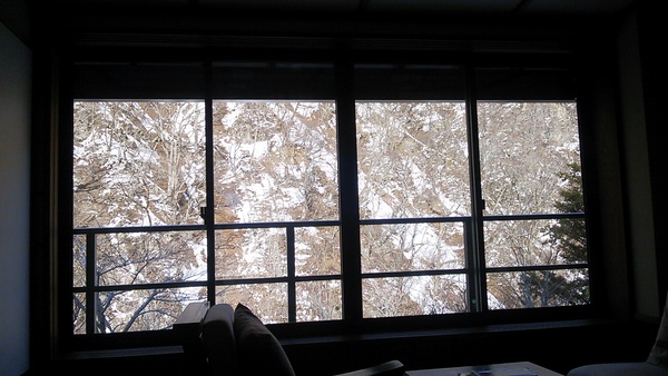 ～１月７日～_c0213830_14421161.jpg