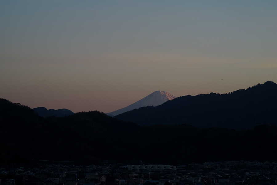 1月６日の蓮華寺池公園から見る富士山_a0264542_5372753.jpg
