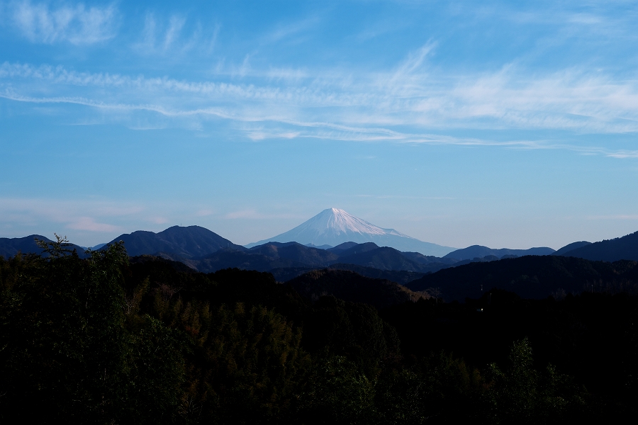 1月６日の蓮華寺池公園から見る富士山_a0264542_5374838.jpg