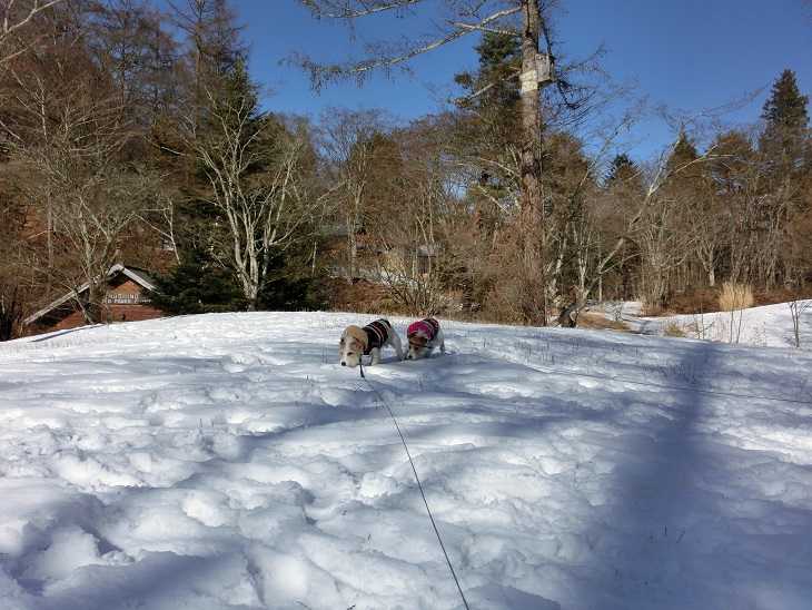 c0156345_941394.jpg