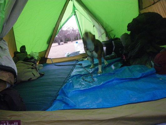 ワンデム～Ｎｅｗ　Ｙｅａｒ’ｓ　Ｃａｍｐ～２０１２～２０１３_f0046250_22323630.jpg