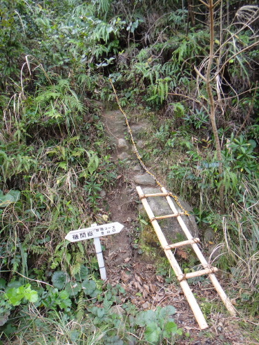 c0179351_10314999.jpg
