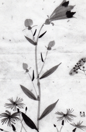 a0191852_1572154.jpg