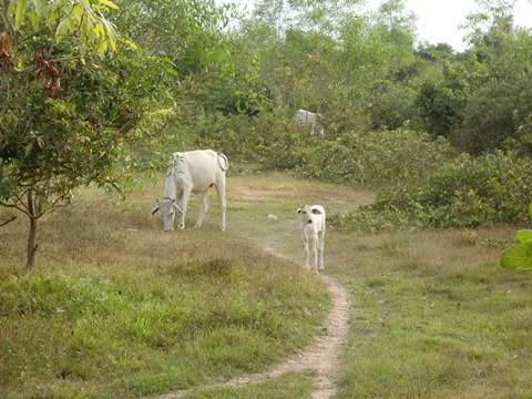 f0235252_0552718.jpg