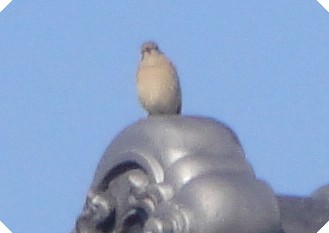 c0108460_1551759.jpg