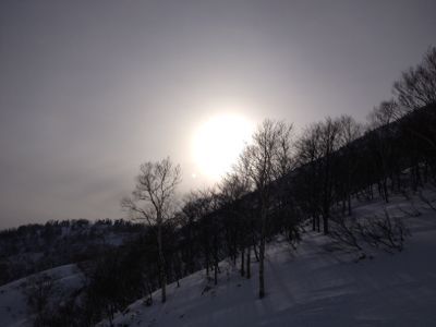 苗場☆_c0151965_1639506.jpg