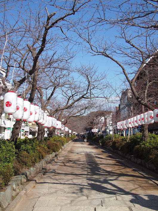 鎌倉のお正月風景 Happy Days Happy Life 鎌倉のお正月風景 Happy Days Happy Life