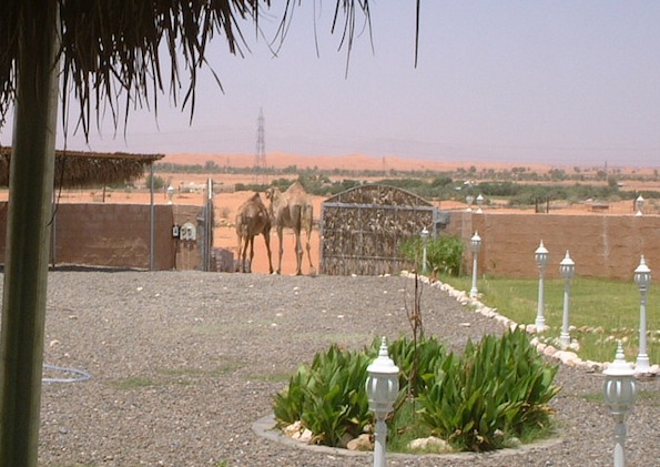 e0066474_2442181.jpg