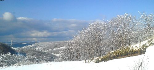 e0168482_1449861.jpg