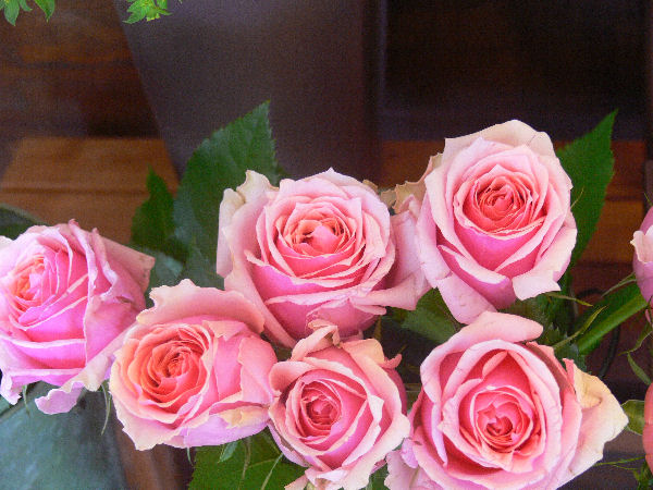 e0140986_1671763.jpg