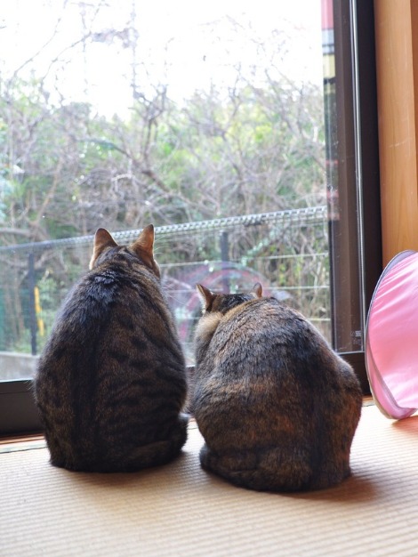 アイツはダレだ?_a0126590_21164549.jpg