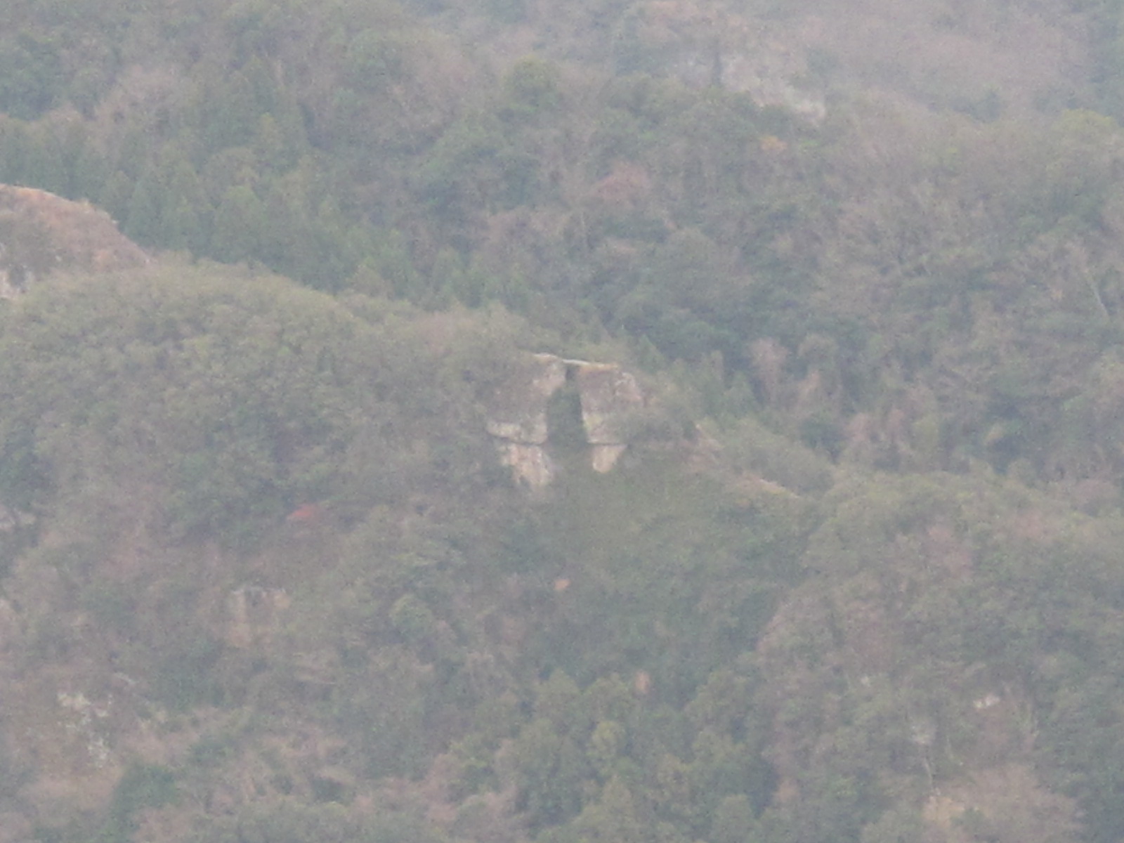 a0166196_2029246.jpg