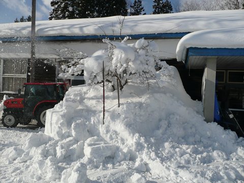 a0138198_14192831.jpg