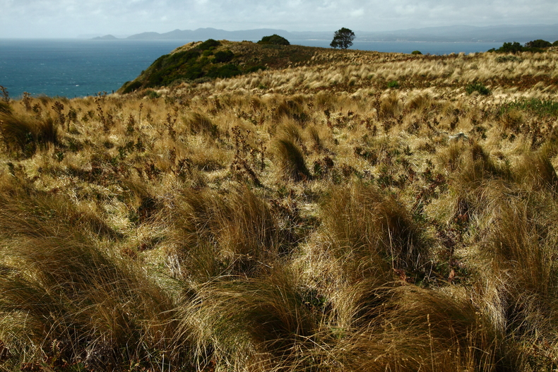 c0248100_221444.jpg