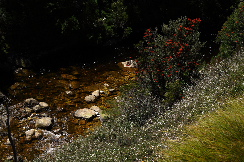 c0248100_2245923.jpg