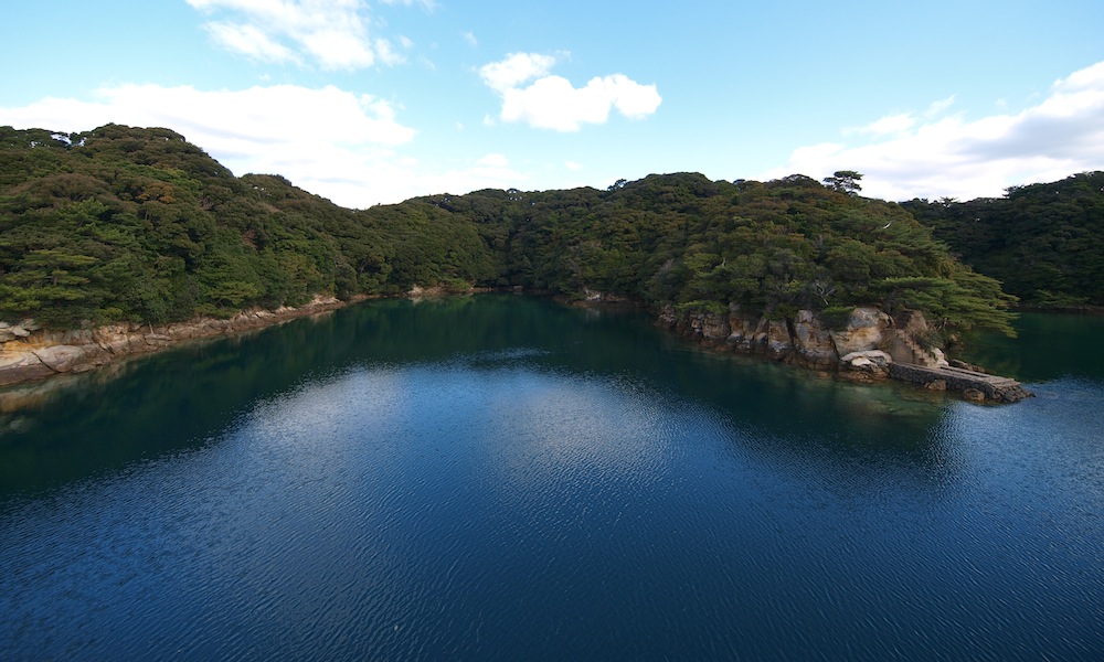 f0109601_9215236.jpg