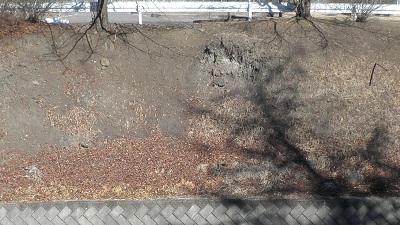 e0304702_1910115.jpg