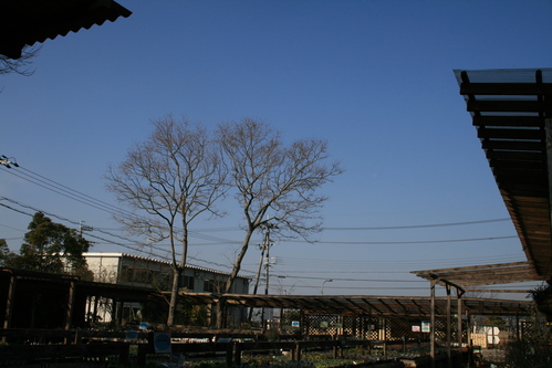 a0139007_17421433.jpg