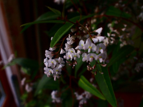 c0117007_23491185.jpg