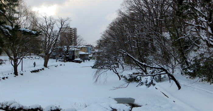 まんさくの花・巡米シリーズ 純吟 美郷錦 ５５（2013.01.08 TUE.）_c0084908_17471018.jpg