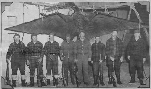 A Happy New UMA: 「翼竜は生きていた？」米国で捕獲されたプテラノドン！！_e0171614_10481516.jpg