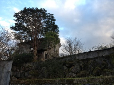 2013幕開け_e0029115_17354486.jpg