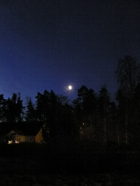 a0104020_2523251.jpg