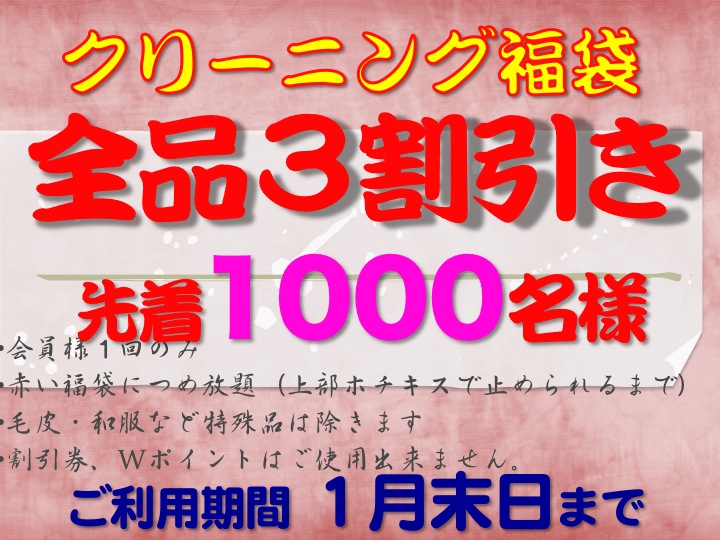 今週のお花&セール情報_a0200423_2041118.jpg