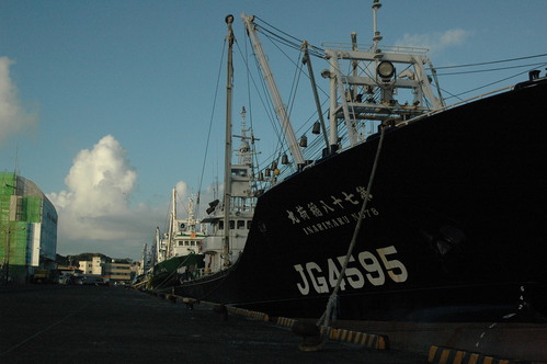 d0233324_2414253.jpg