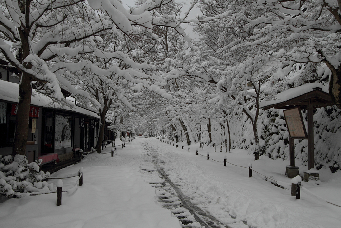 大原雪景色 －三千院（前編）－_b0169330_23384599.jpg