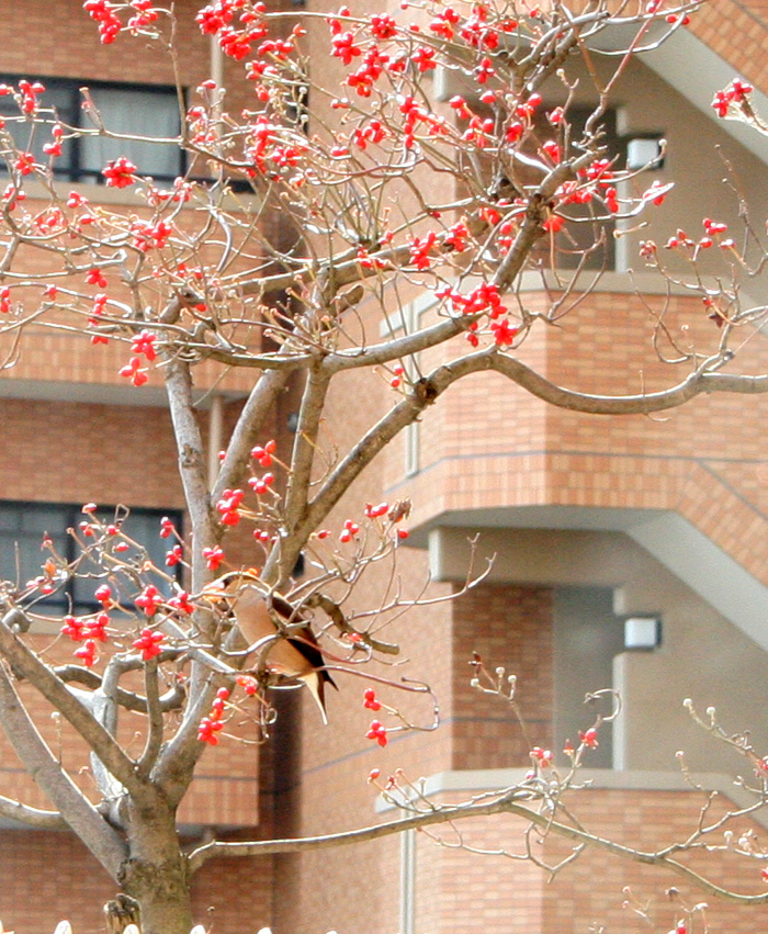 c0073633_13252185.jpg