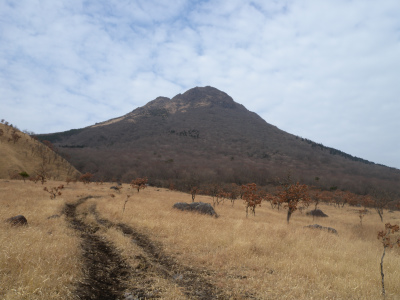 由布岳西登山口から初挑戦！_e0272335_10331055.jpg