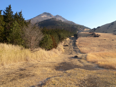 由布岳西登山口から初挑戦！_e0272335_6162165.jpg