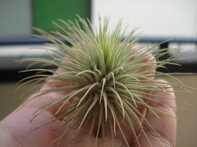 c0261240_2137402.jpg