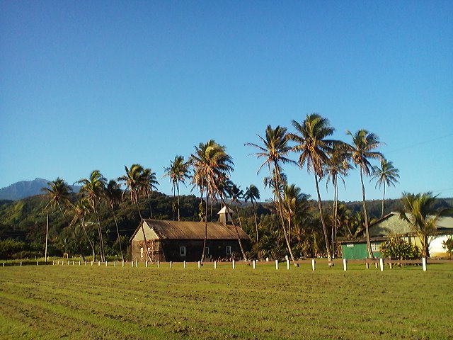a0272241_2053455.jpg