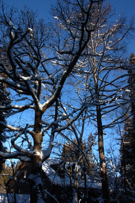 c0002943_10585898.jpg