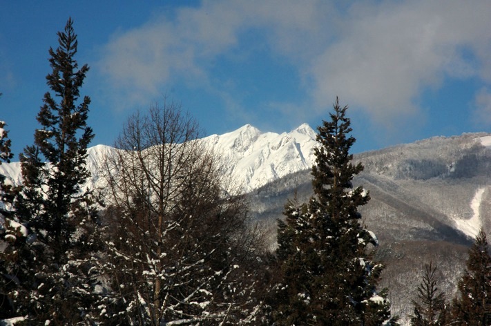 c0002943_1143229.jpg