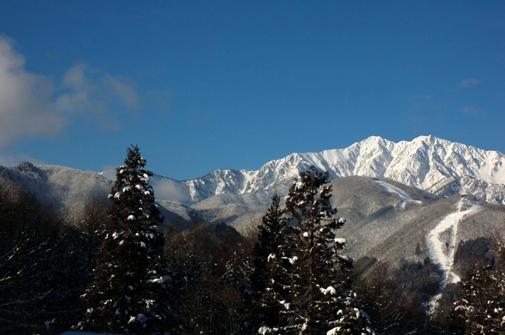 c0002943_114473.jpg