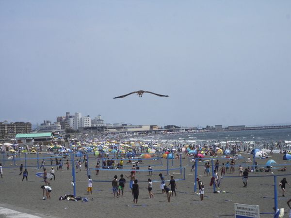 e0296043_18292289.jpg