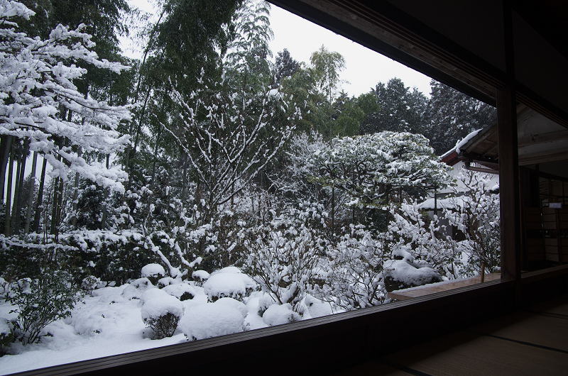 宝泉院・雪景（前編）_f0155048_0174463.jpg