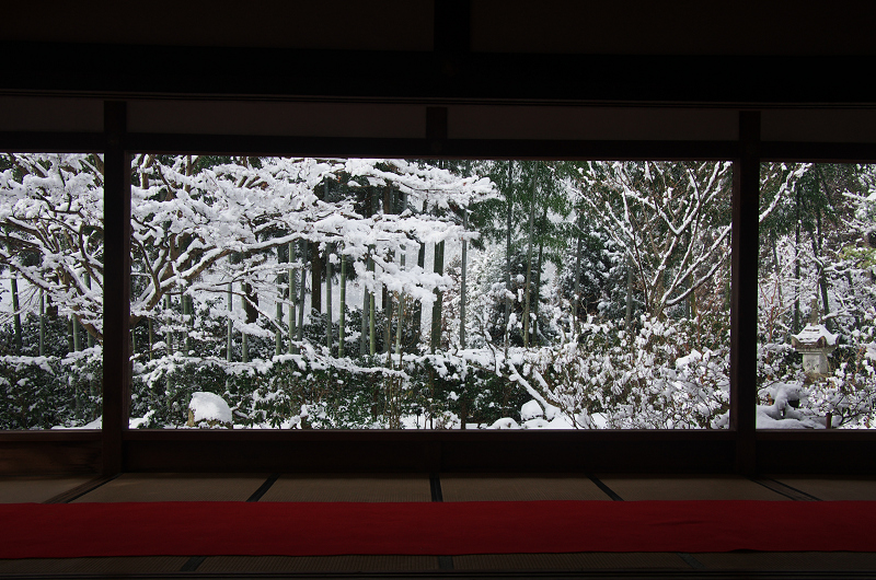 宝泉院・雪景（前編）_f0155048_0264643.jpg