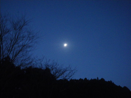 f0046250_04367.jpg