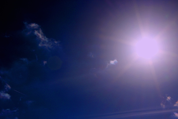 a0174458_85405.jpg