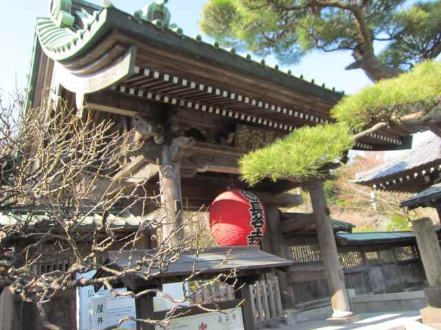 【1月の鎌倉　長谷寺】_c0042960_16104679.jpg