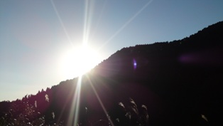 c0115560_11402617.jpg