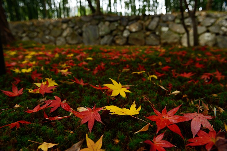f0222161_133081.jpg