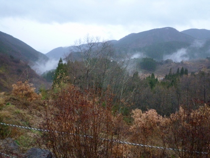 b0178262_10283743.jpg