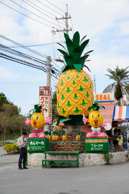 沖縄day1 2 ナゴパイナップルパーク 蜜蜂的写真日記 沖縄day1 2 ナゴパイナップルパーク 蜜蜂的写真日記