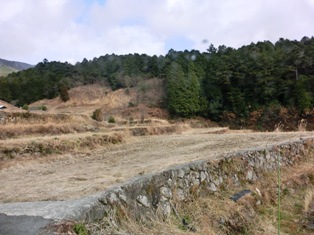 今年から 「田植え&稲刈り」 がはじまるよ_e0114963_16445061.jpg